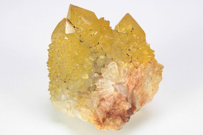 Sunshine Cactus Quartz Crystal Cluster - South Africa #212629